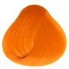 Apricot Directions -Halloween Kostüm Geschäft directions apricot ginger head bonnie strange hair orange haare apricot haartoenung 660427 01