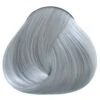 Silver Directions -Halloween Kostüm Geschäft directions silver silber toenung graue haare haarfarbe grau haartoenung silber 660380 05