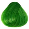 Directions Spring Green 2 Directions Spring Green -Halloween Kostüm Geschäft directions spring green gruene haare gruen haartoenung haarfarbe gruen 660379 01