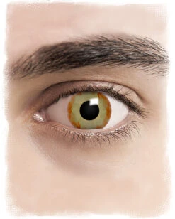 Infected Zombie Kontaktlinsen -Halloween Kostüm Geschäft halloween kontaktlinsen infected horror sfx kontaktlinsen