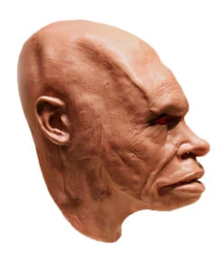 Neandertaler Schaumlatex Maske 7 Neandertaler Schaumlatex Maske -Halloween Kostüm Geschäft neandertaler schaumlatex maske steinzeitmensch latex maske neanderthal foamlatex mask 50345 03