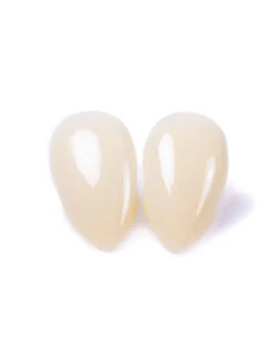 Scarecrow Lady Fangs Vampir Eckzähne -Halloween Kostüm Geschäft scarecrow custom fangs scarecrow vampir eckzaehne vampirzaehne scarecrow ladyfangs 14534 06