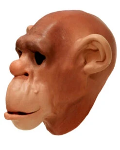 Schimpansen Schaumlatex Maske -Halloween Kostüm Geschäft schimpansen schaumlatex maske affenmaske tiermasken bild4 15361