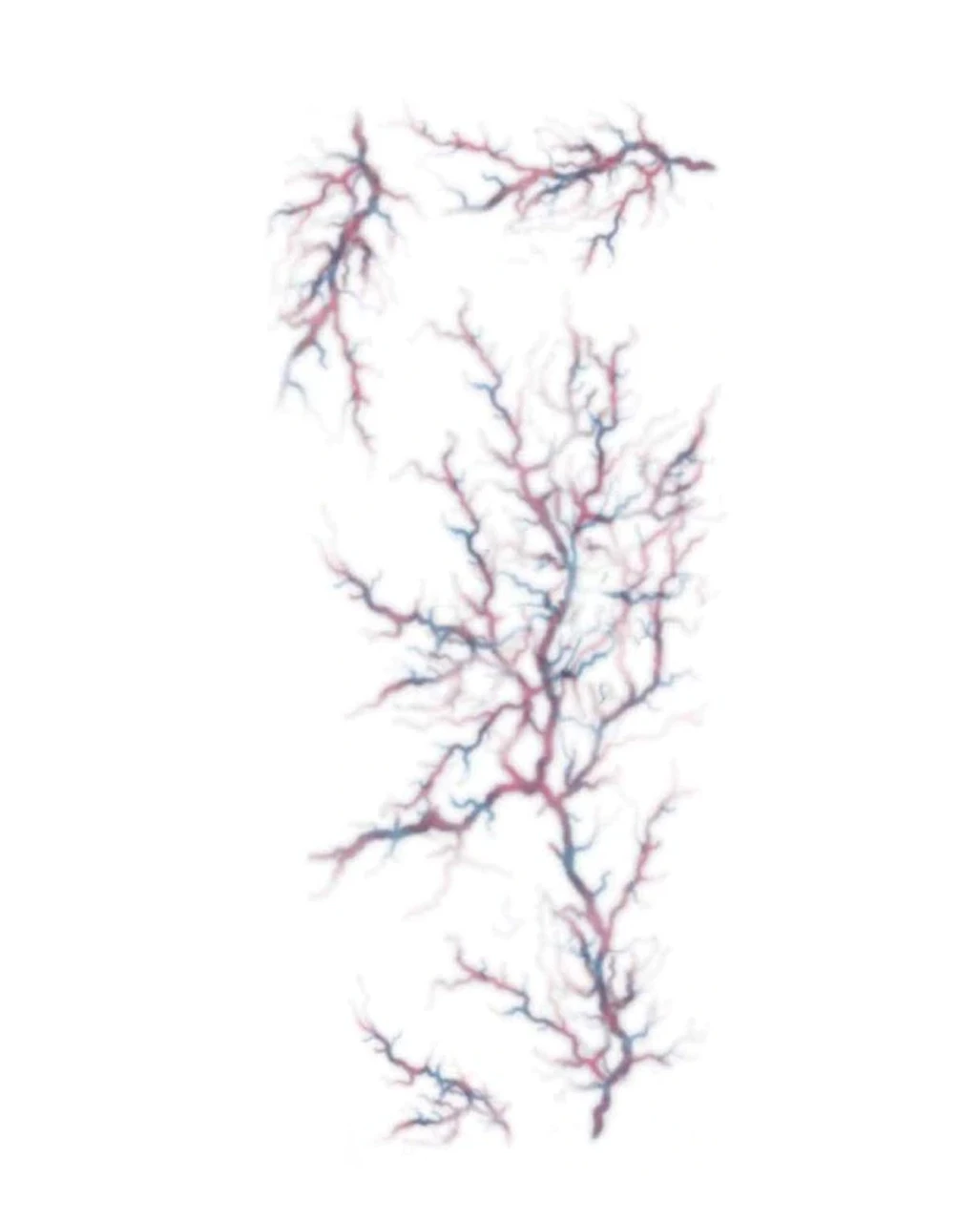 Klebetattoo FX Possessed Veins 3 Klebetattoo FX Possessed Veins